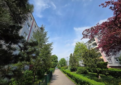 mieszkanie na wynajem - Bydgoszcz, Kapuściska