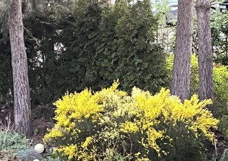 dom na sprzedaż - Bydgoszcz, Smukała